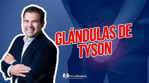 que son las glandulas de tyson|Glándulas de Tyson